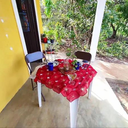 Chale Dos Lirios Villa Alto Paraíso de Goiás Exterior photo